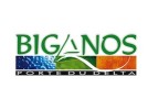 logo-biganos